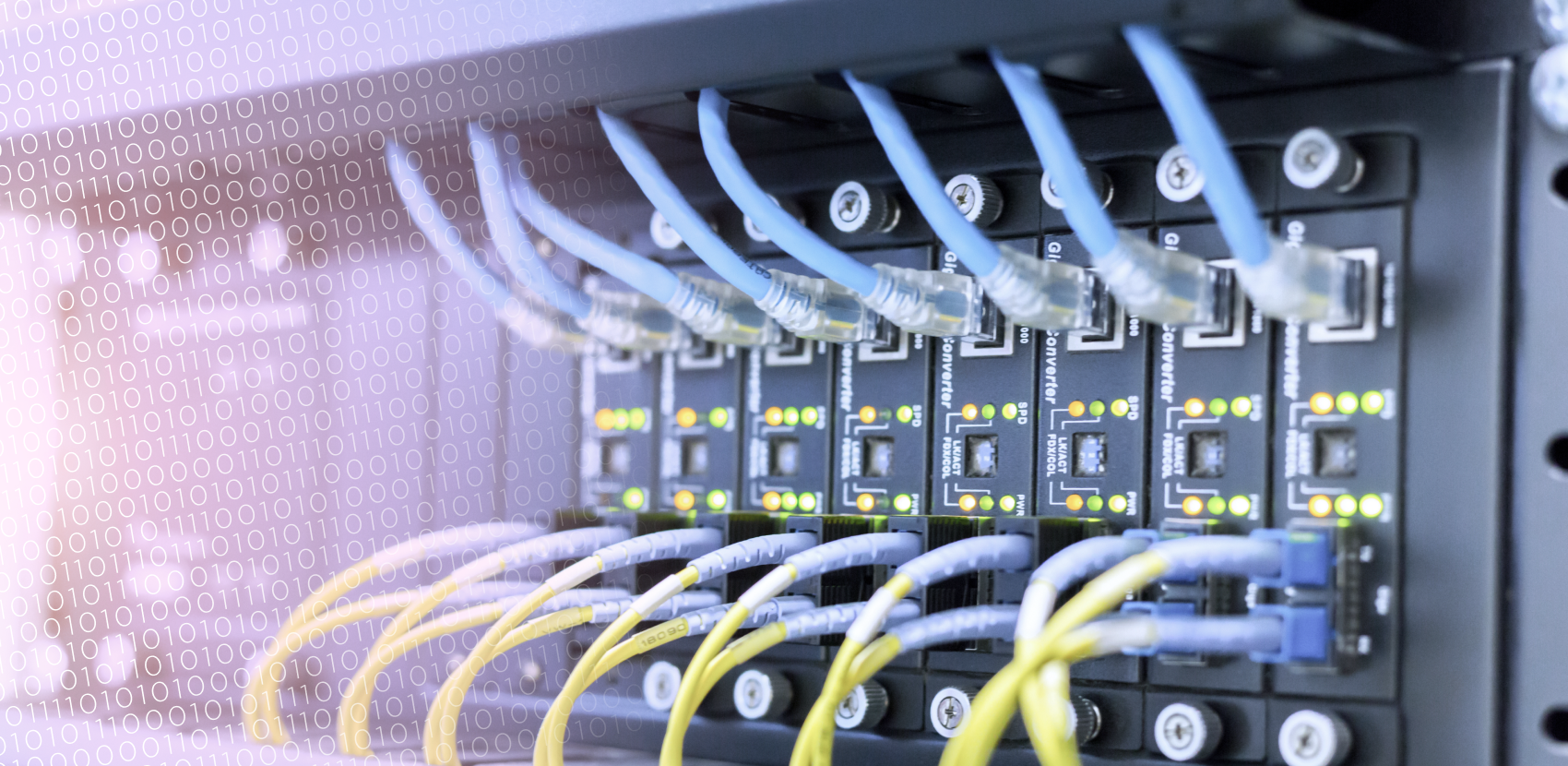 Configuración de Servidores para Empresas: La Experiencia de Ginienty